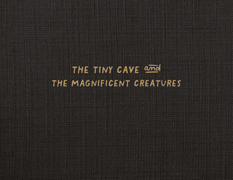 The Tiny Cave Cover Thumbnail