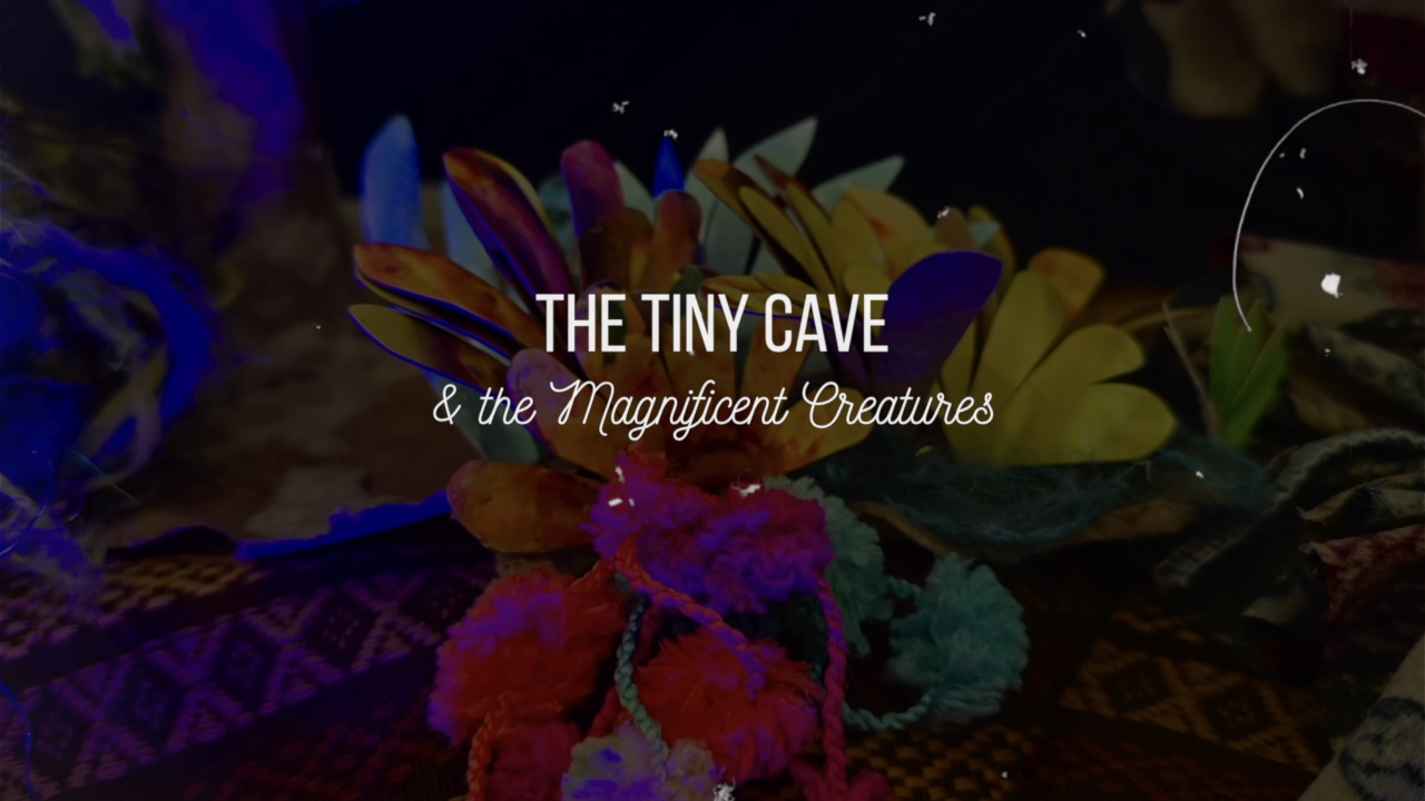 Thumbnail image for the video: Tiny Cave & the Magnificent Creatures